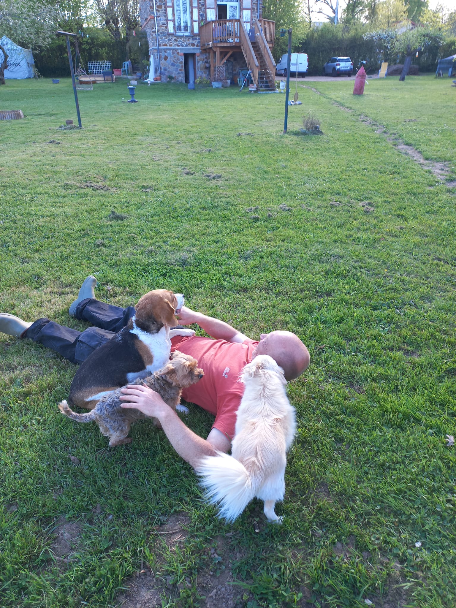 Pierre-Yves allongé dans l'herbe, entouré de trois chiens en pension