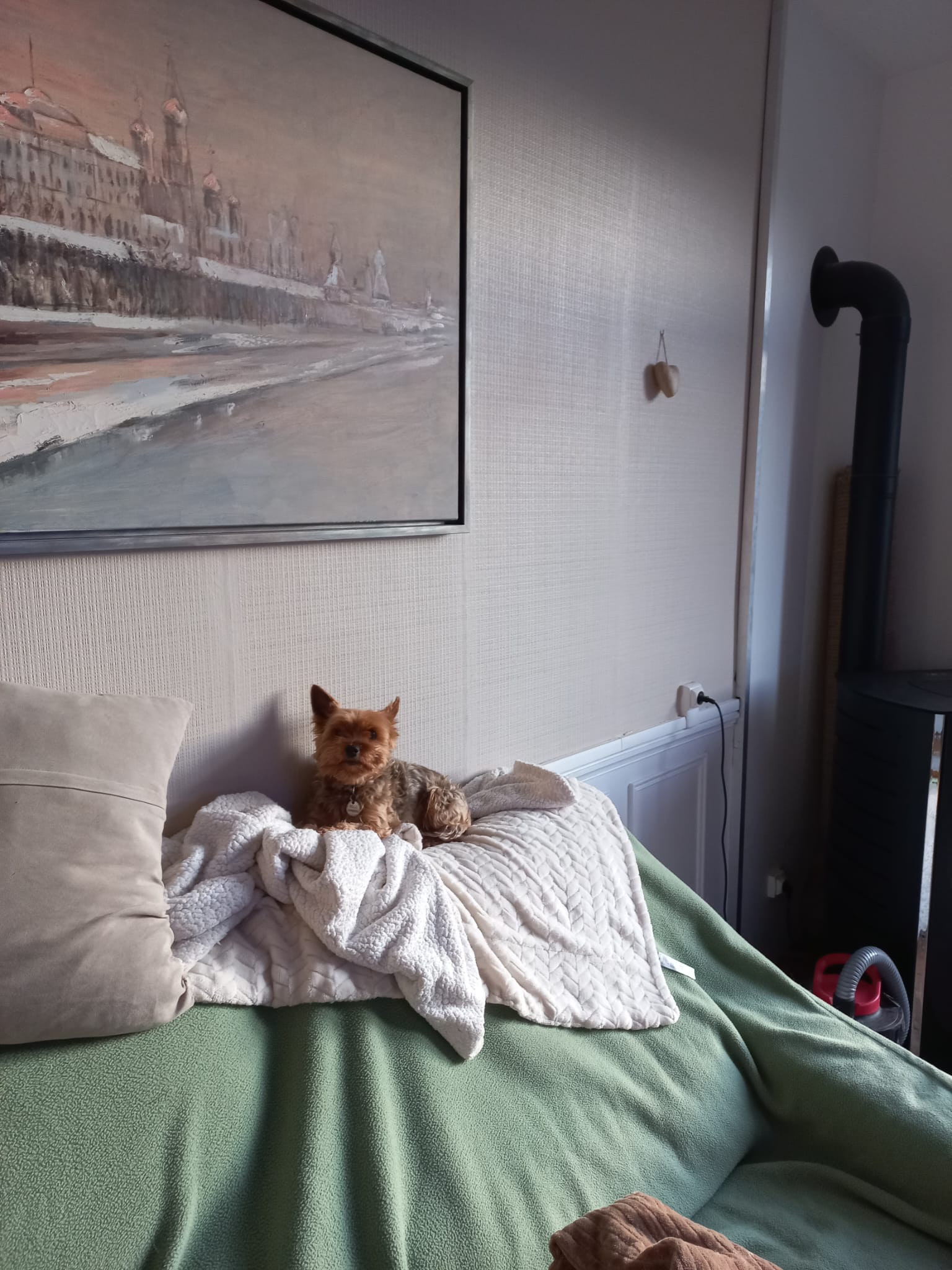 Petit yorkshire confortablement installé sur un plaid dans la maison