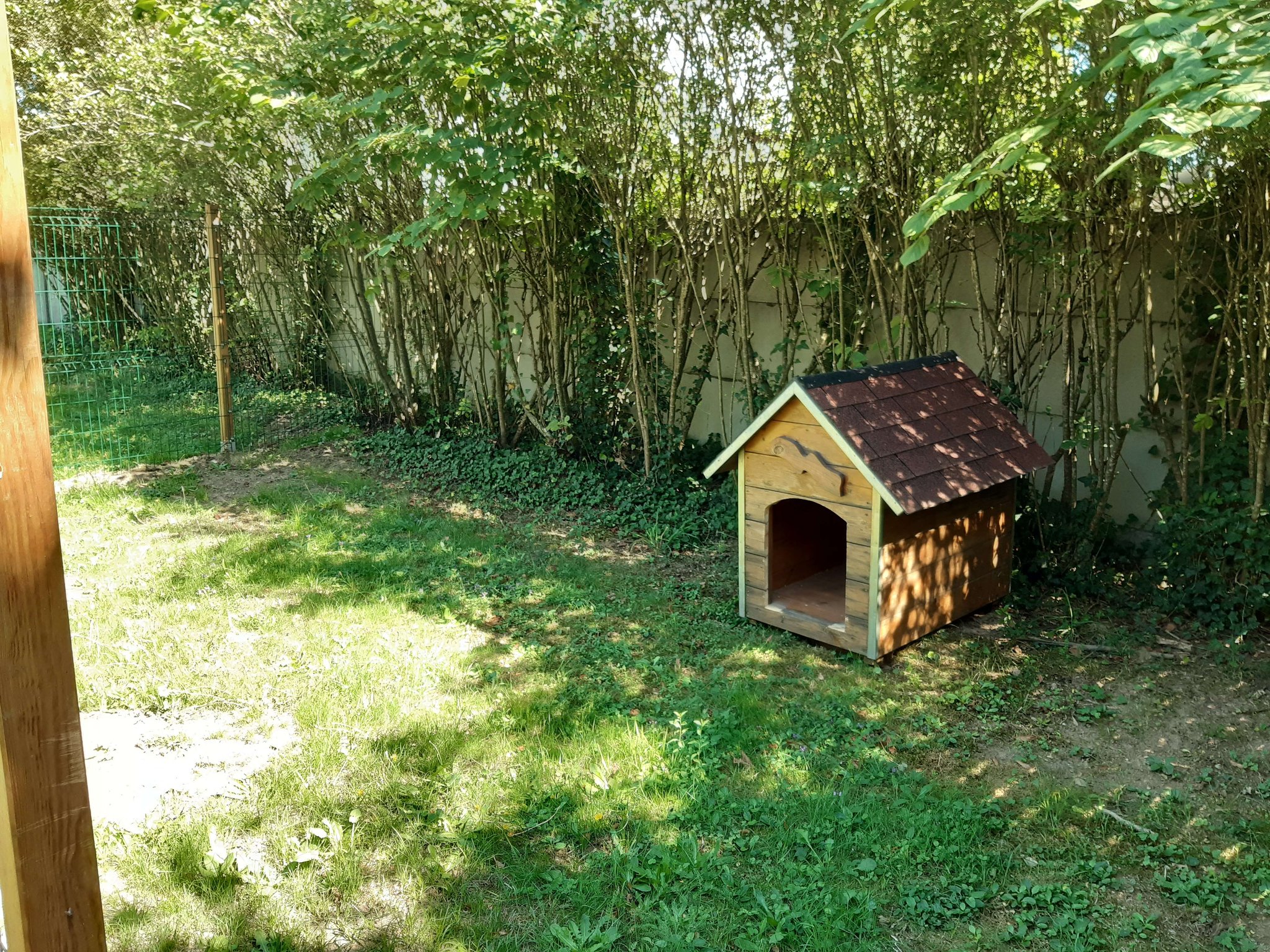 Un des parcs extérieurs grillagés, à l'ombre des arbres, avec sa niche